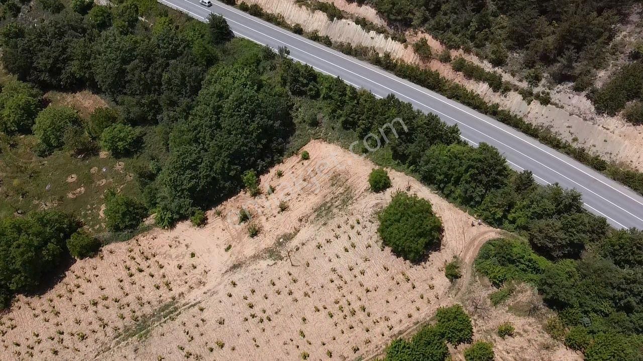 Asfalt Üzeri 5.500m2 Arsa - Görsel 5
