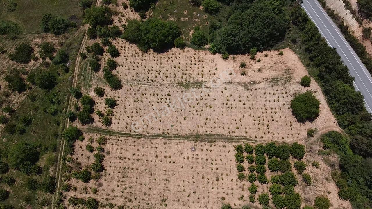 Asfalt Üzeri 5.500m2 Arsa - Görsel 3