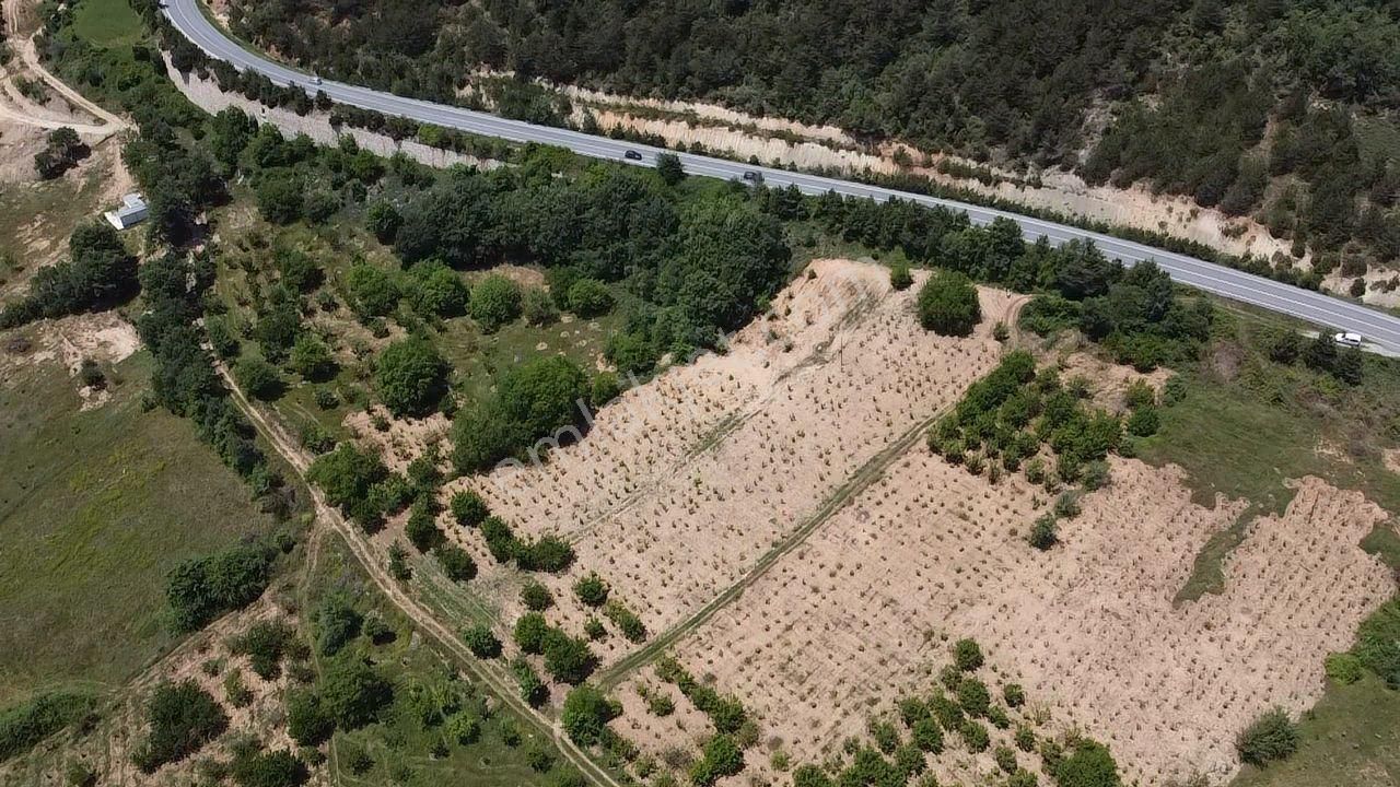 Asfalt Üzeri 5.500m2 Arsa