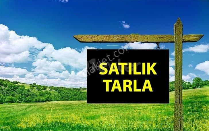 Tepebaşı Gündüzler Satılık Tarla  ESKİŞEHİR TEPEBAŞI GÜNDÜZLER MAHALLESİNDE  SATILIK SULAK TARLA