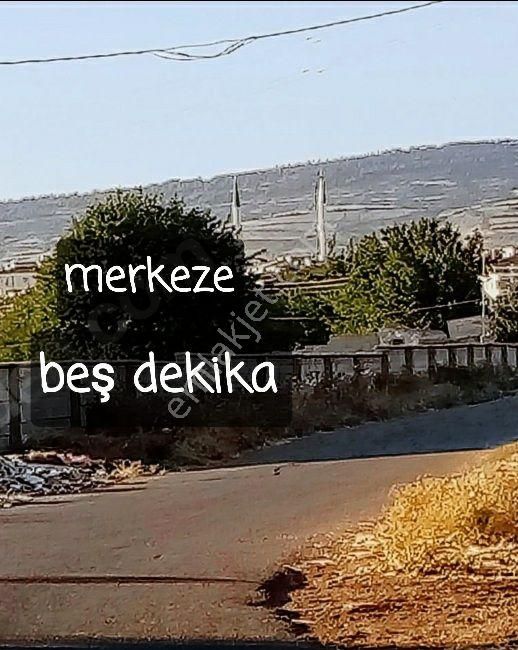 Kilis Merkez Yavuz Sultan Selim Satılık Zeytinlik SAVAŞ GAYRİMENKUL DEN SATILIK BAHÇE