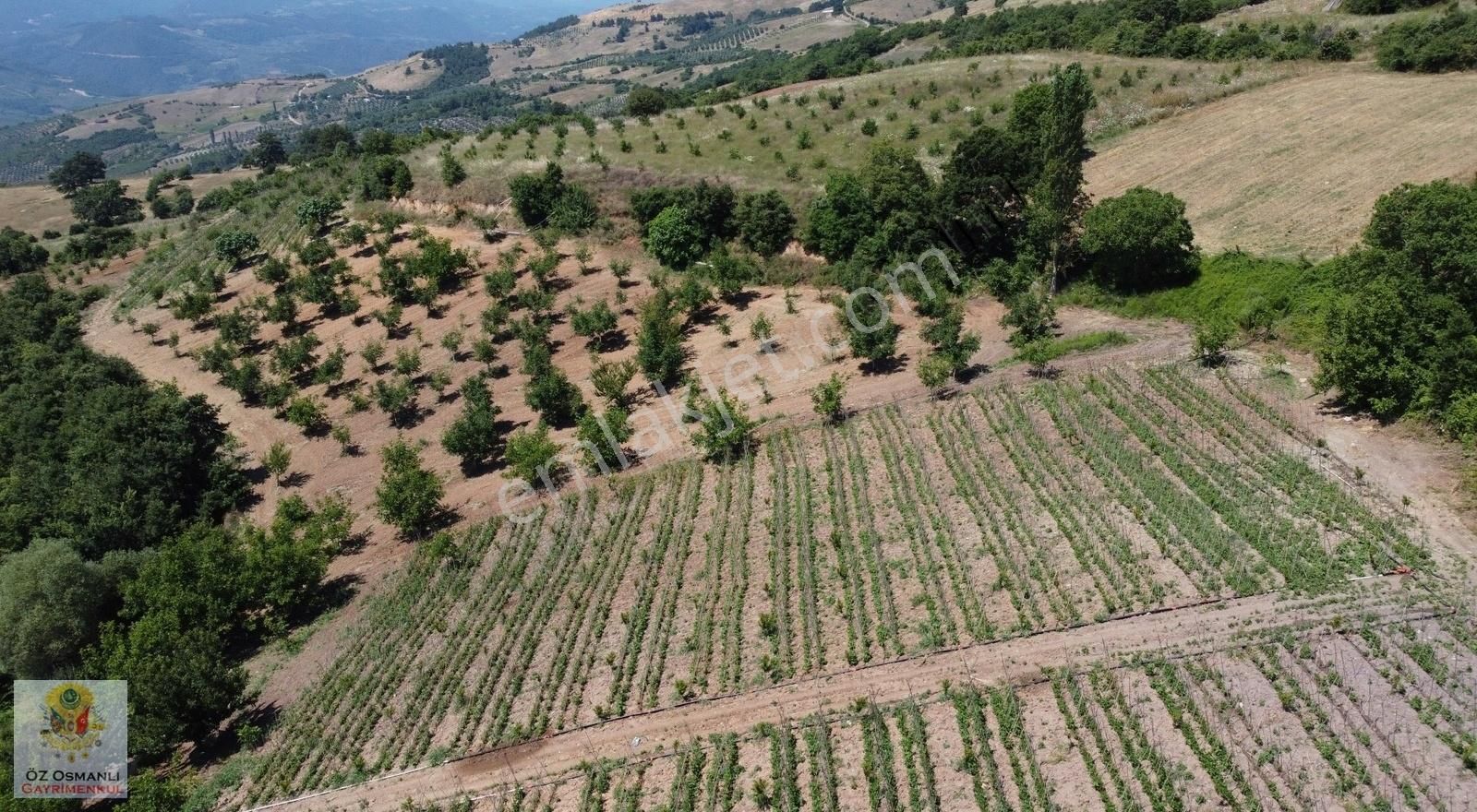 Osmaneli Oğulpaşa Köyü (Merkez) Satılık Tarla OĞULPAŞA KÖYÜNDE 3.465 M2 YOL SIKINTISI OLMAYAN SATILIK TARLA