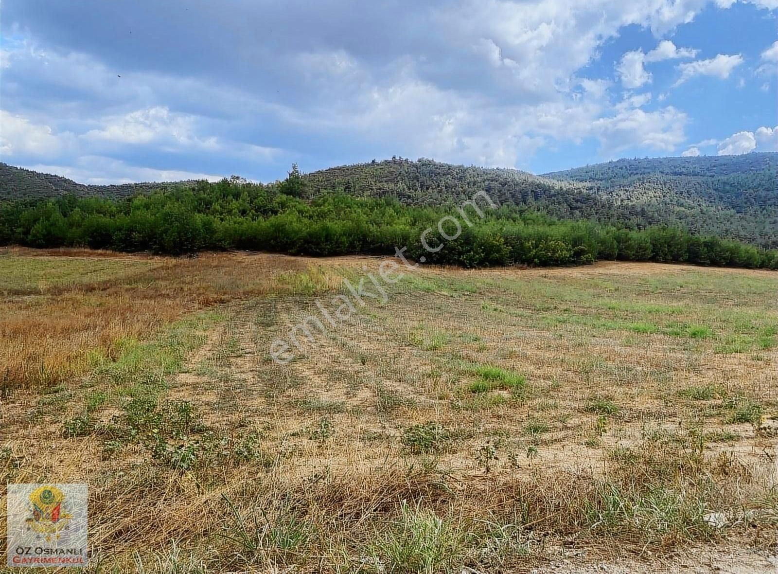 Osmaneli Medetli Köyü Satılık Tarla Medetli Köyünde 3450 M2 Satılık Tarla