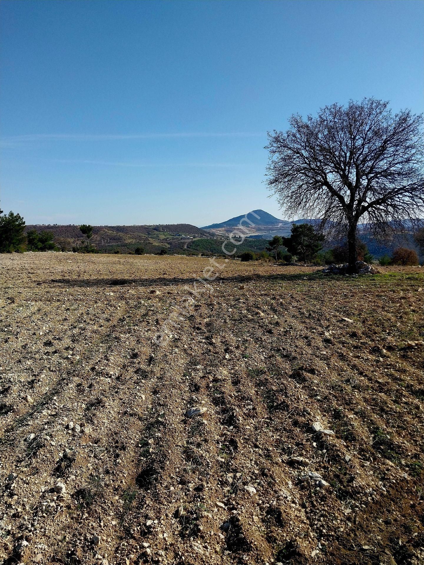 Eşme Karacaömerli Köyü Satılık Tarla TEK TAPU 23.500 M2