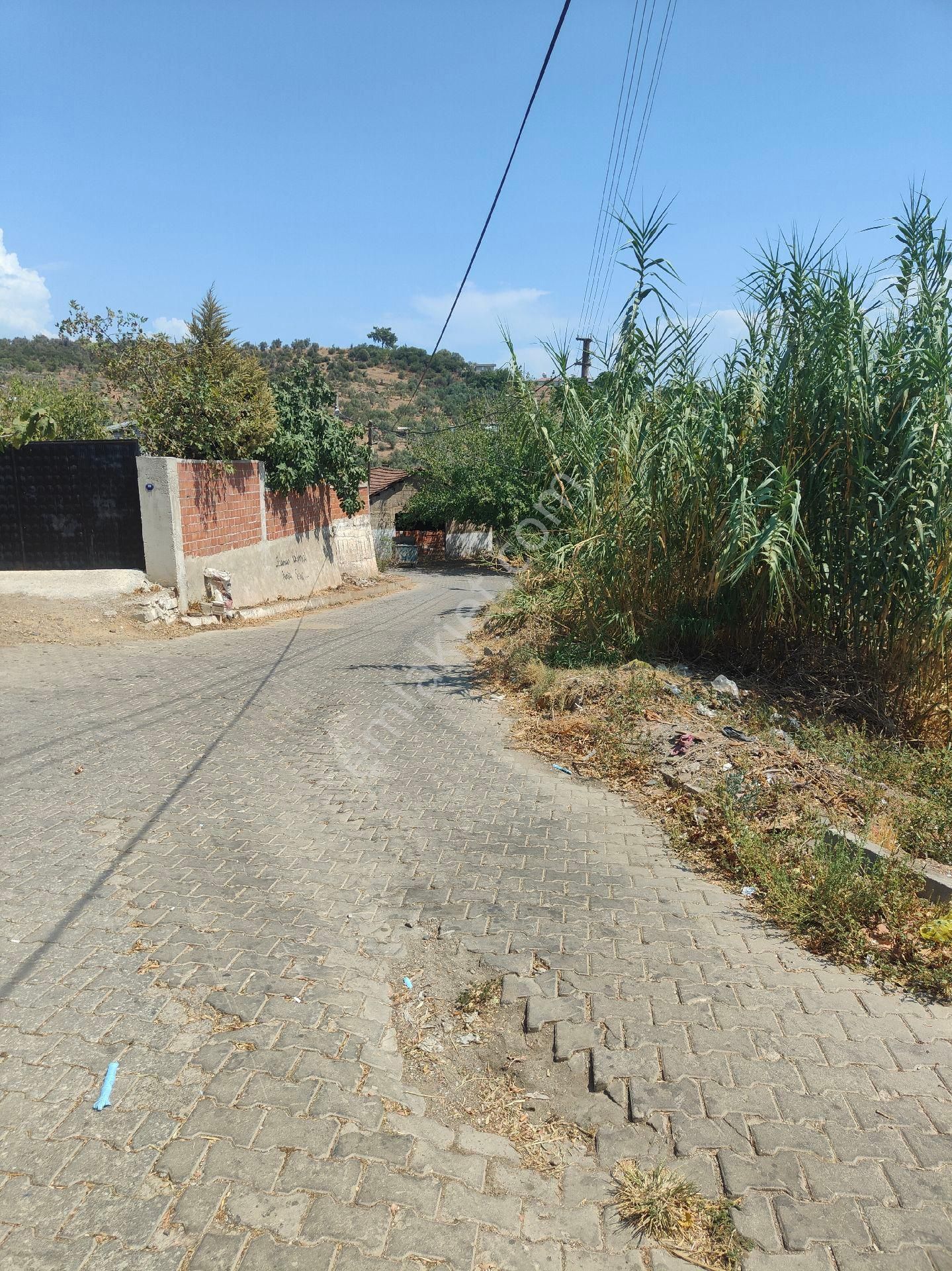 Bayındır Gayrimenkul - Bayındır Kizilcaova Satılık 2.571m2 Zeytinlik - Görsel 3