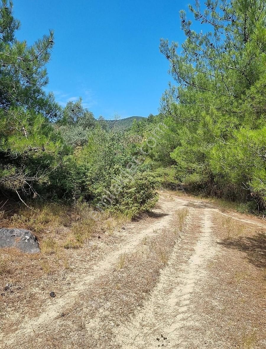 Pamukova Teşvikiye Mahallesinde Bungalov Luk 495 M² Arazi - Görsel 2