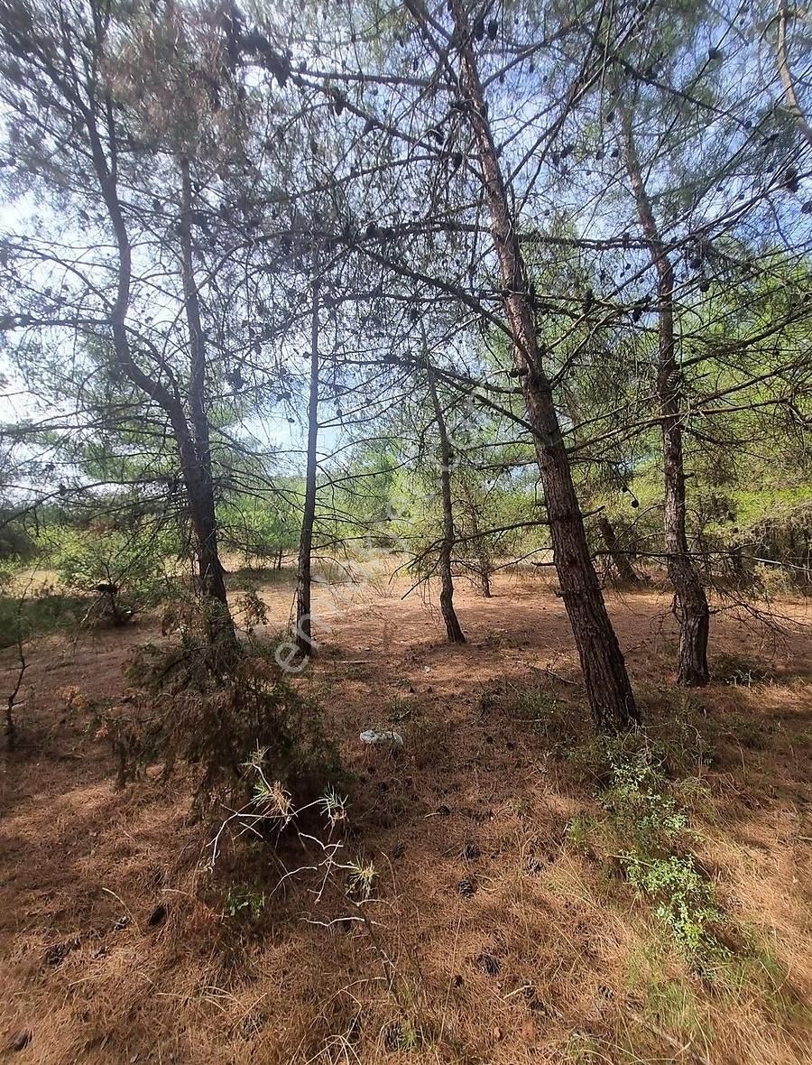 Pamukova Teşvikiye Mahallesinde Bungalov Luk 495 M² Arazi - Görsel 19