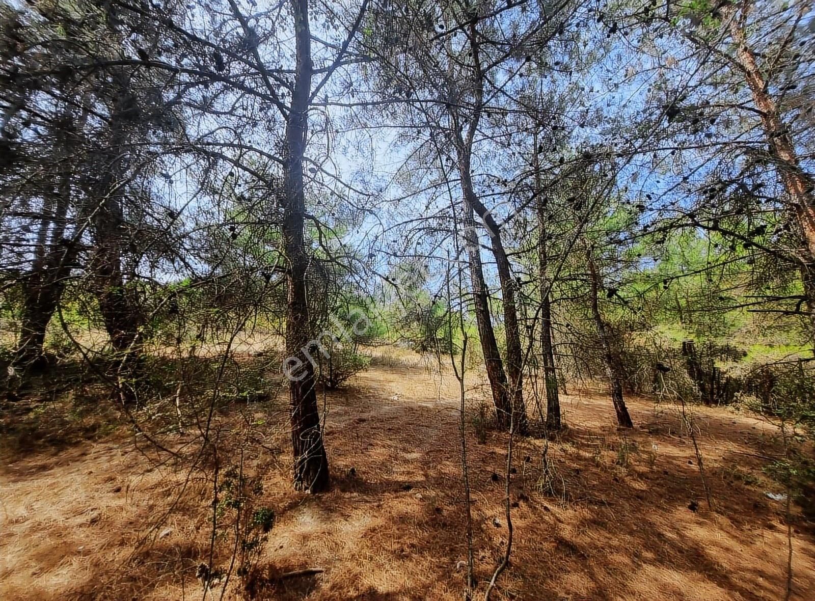 Pamukova Teşvikiye Mahallesinde Bungalov Luk 495 M² Arazi - Görsel 10