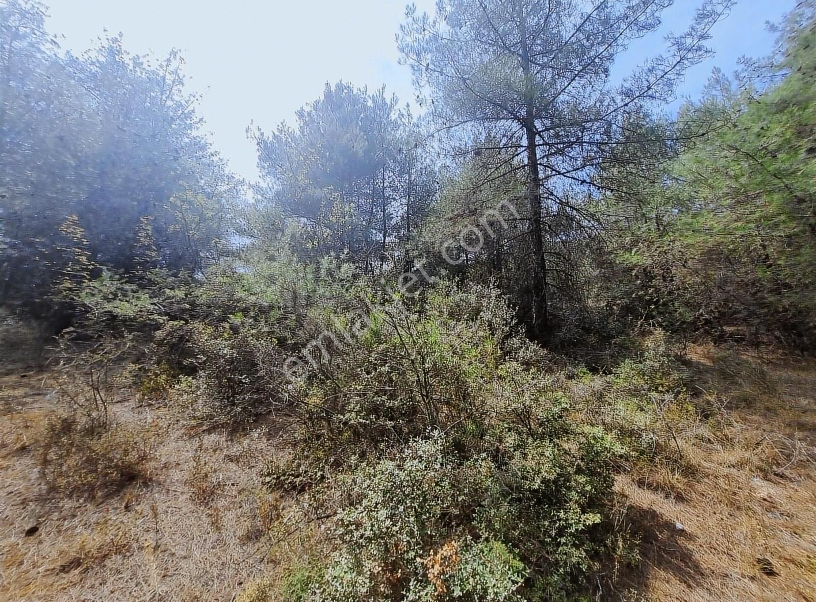 Pamukova Teşvikiye Mahallesinde Bungalov Luk 495 M² Arazi - Görsel 21