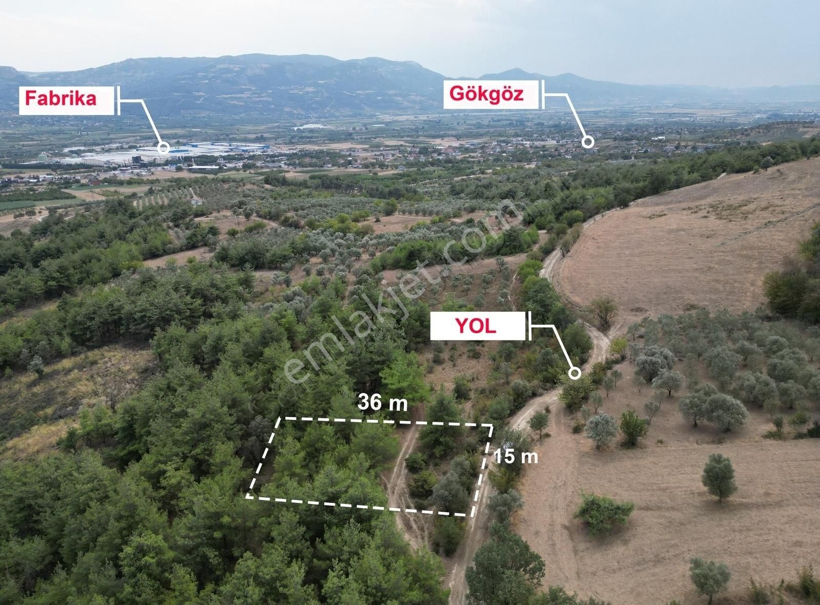 Pamukova Teşvikiye Mahallesinde Bungalov Luk 495 M² Arazi - Görsel 13