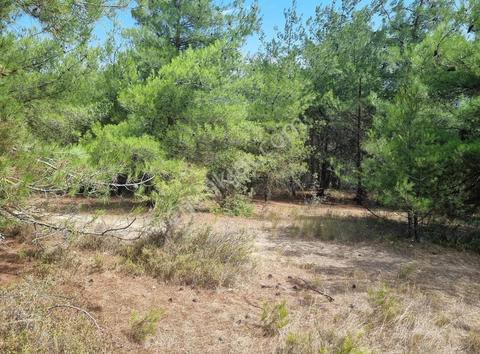Pamukova Teşvikiye Mahallesinde Bungalov Luk 495 M² Arazi - Görsel 33