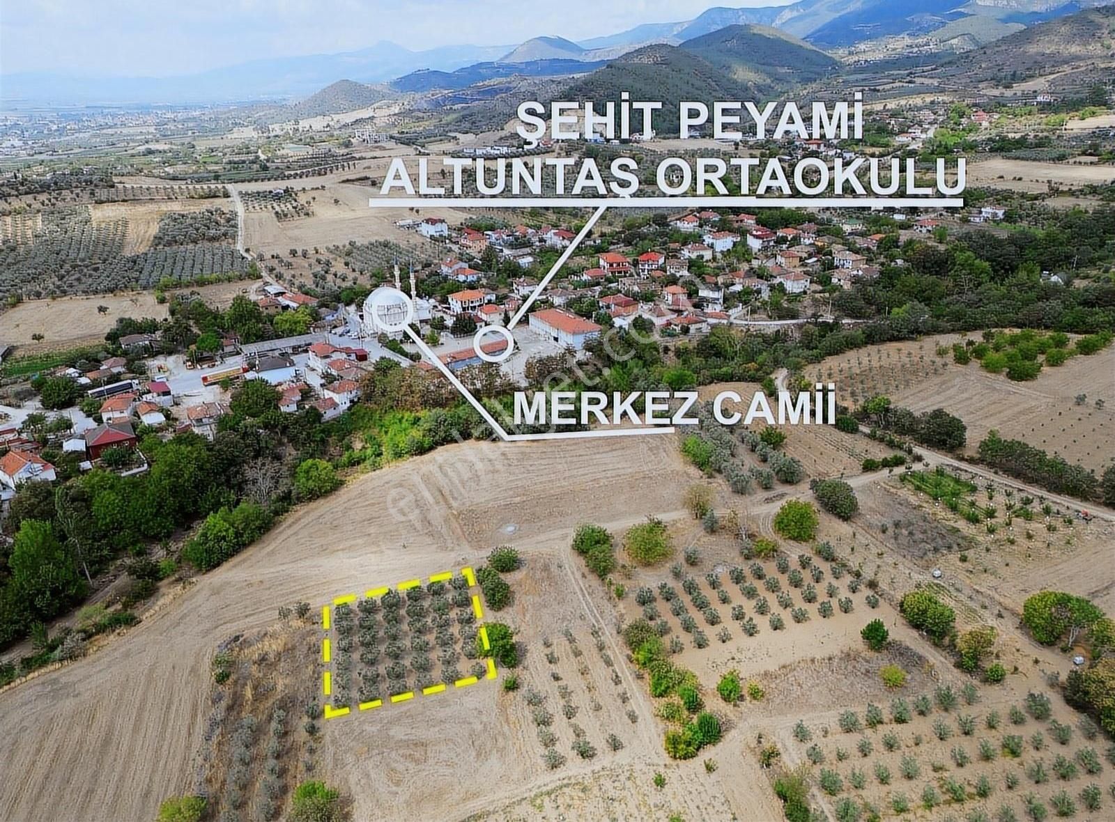 Pamukova Gökgöz Satılık Bağ & Bahçe Pamukova Gökgöz Mahallesinin Yatırımlık 993m² Zeytin Bahçesi