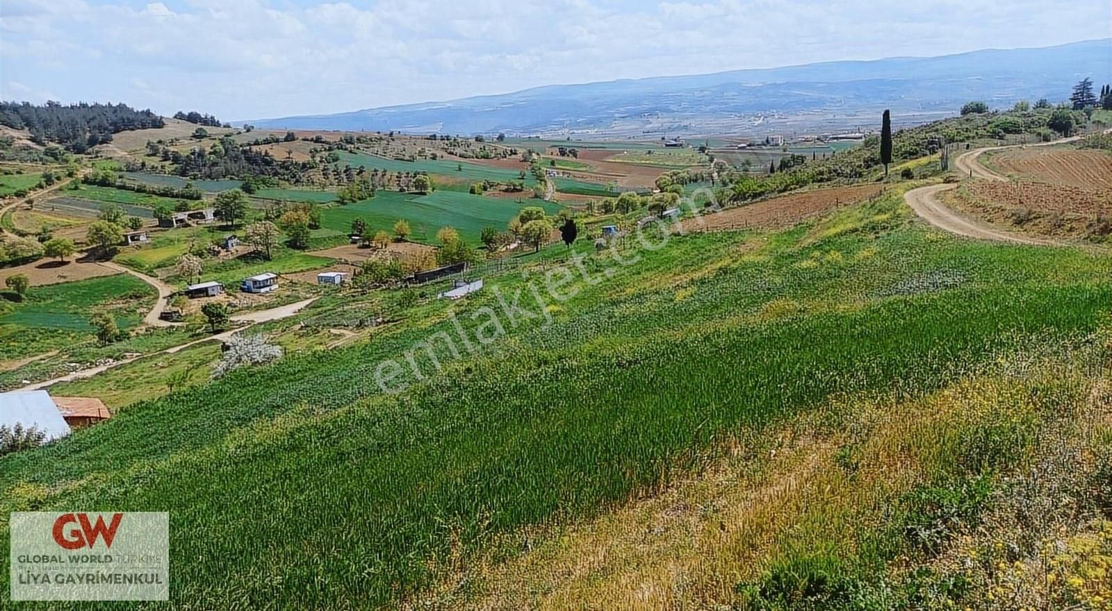 Yenişehir Çelebi Satılık Tarla Yenişehir Çelebi Köyünde Yatırımlık Satılık Arazi