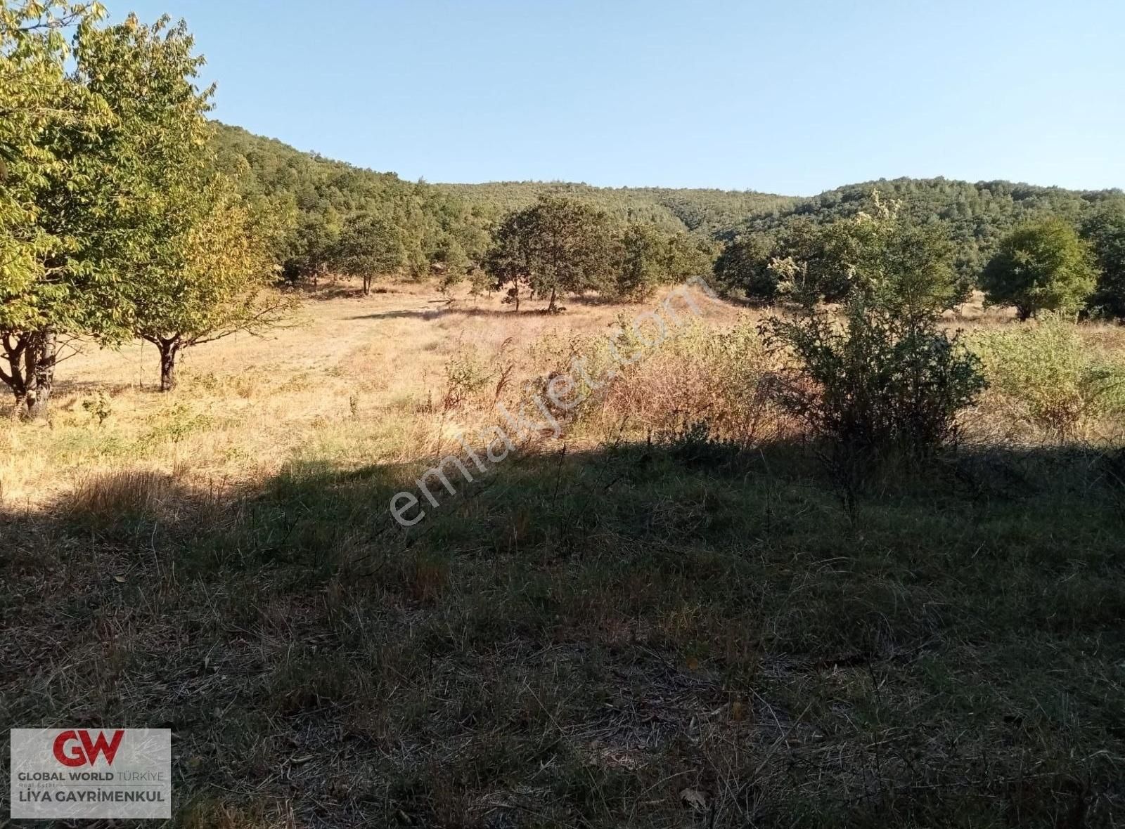 Kestel Gölcük Satılık Tarla Kestel Gölcük Köyünde Yatırımlık Satılık Arazi