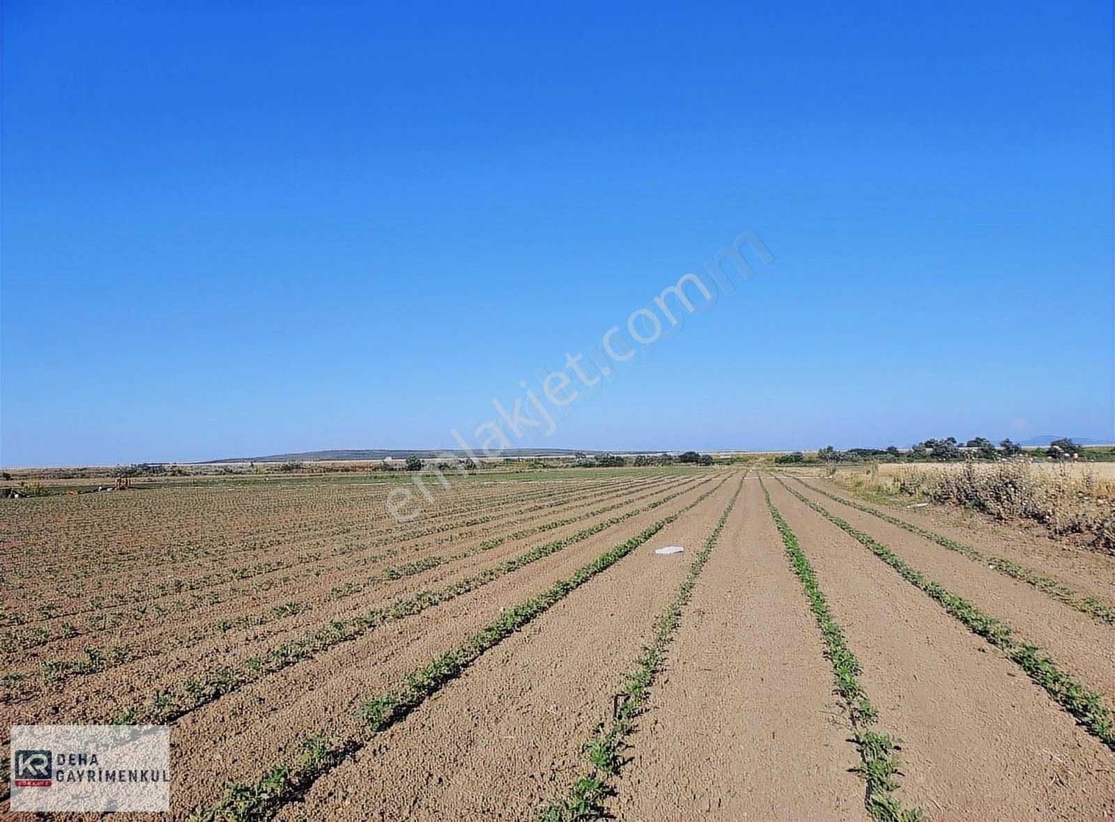 Mustafakemalpaşa Tepecik Satılık Tarla BURSA MUSTAFAKEMALPAŞA TEPECİK 2100 m2 Yatırımlık Tarla