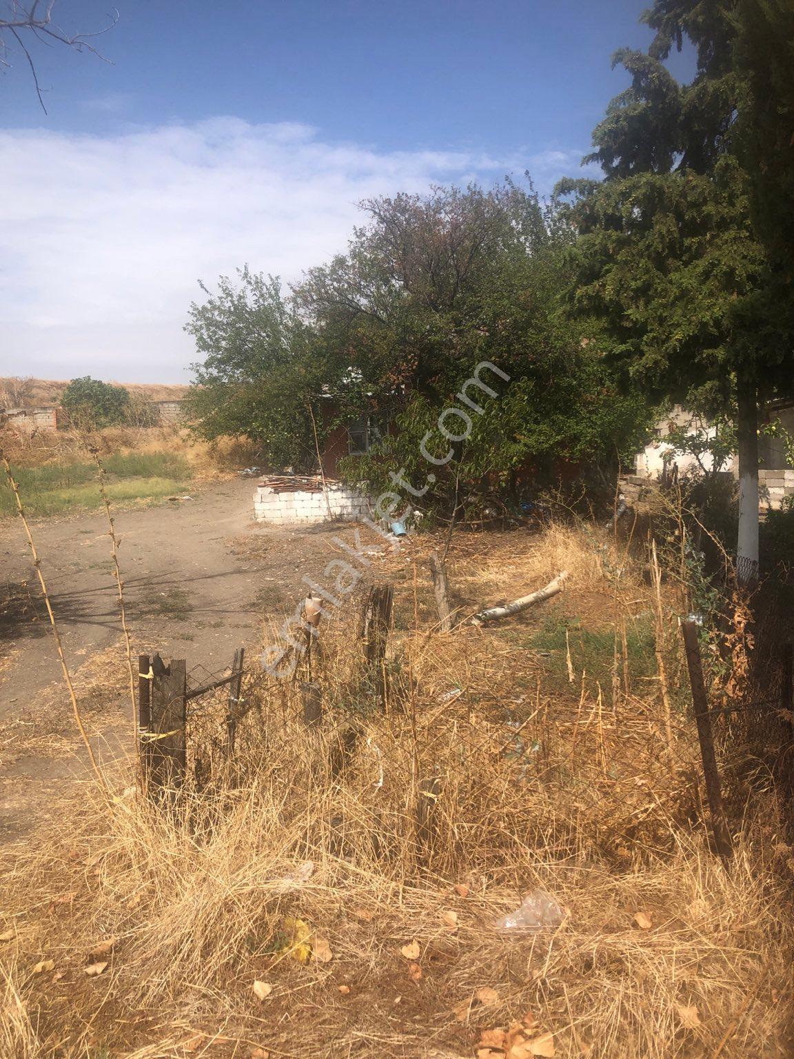 Asfalt Boyundasatılık İmarlı Arsa - Görsel 32