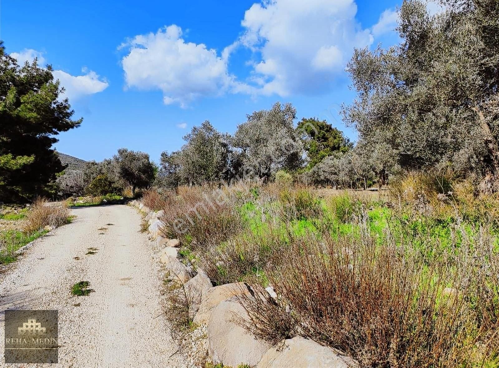 Urla Kadıovacık Satılık Tarla İZMİR-URLA-KADIOVACIK KÖYÜNDE YATIRIMLIK SATILIK TARLA