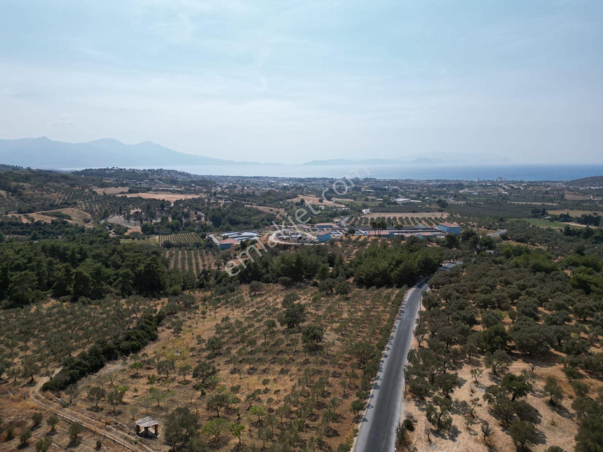 Avm'ye Yakın-imar Sınırında-manzaralı-merkeze Yakın-yatırımlık Kacırılmayacak 13500 M2 Arazi - Görsel 2