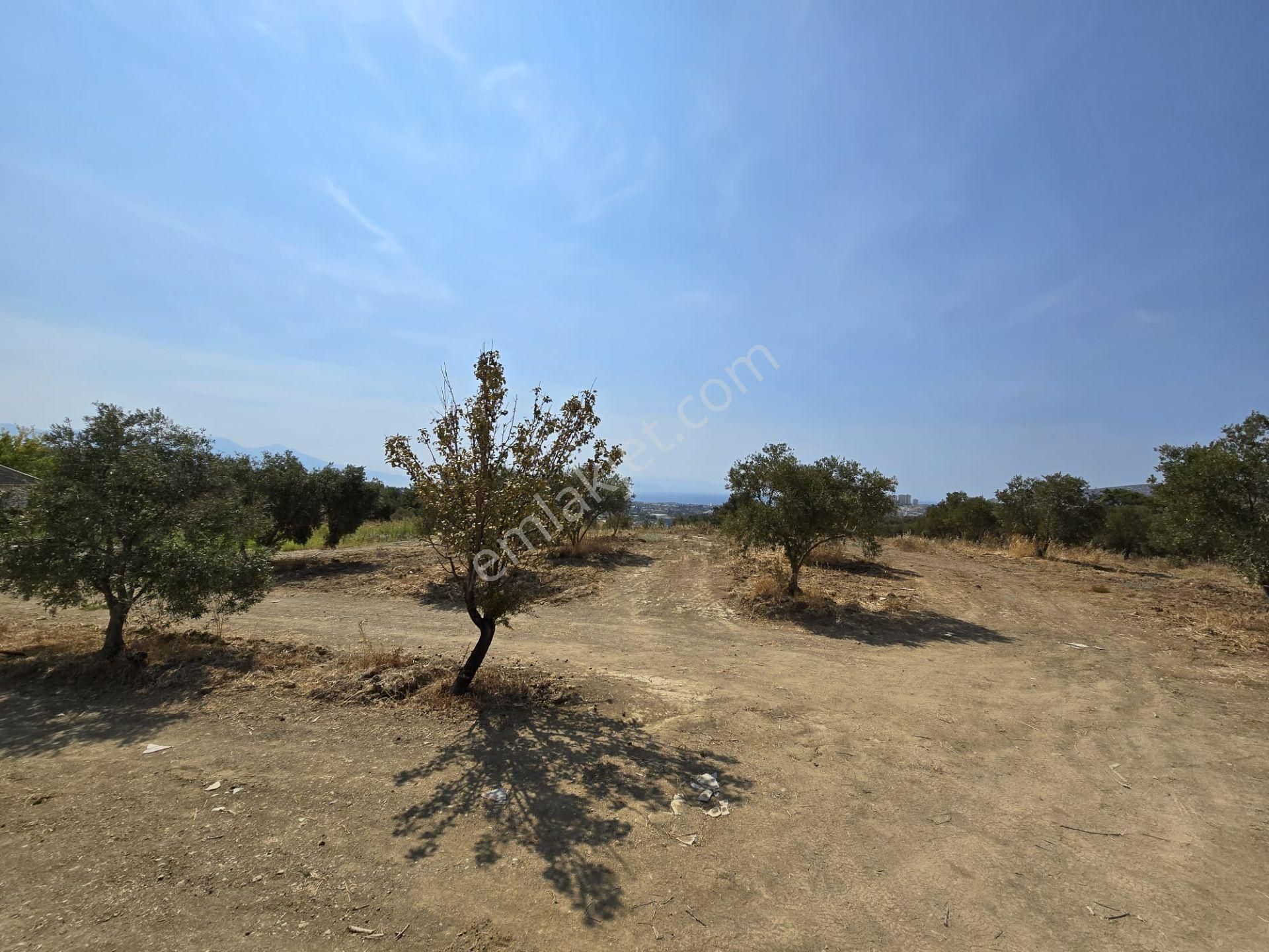Avm'ye Yakın-imar Sınırında-manzaralı-merkeze Yakın-yatırımlık Kacırılmayacak 13500 M2 Arazi - Görsel 13