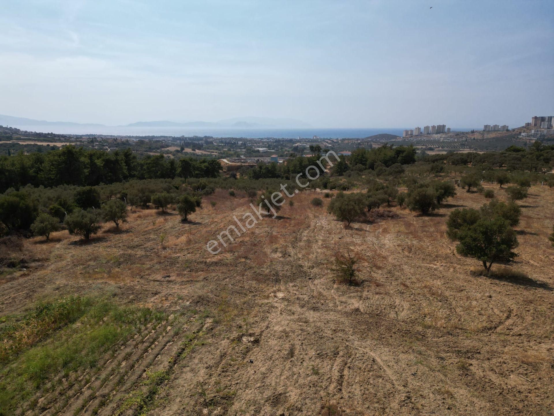 Avm'ye Yakın-imar Sınırında-manzaralı-merkeze Yakın-yatırımlık Kacırılmayacak 13500 M2 Arazi - Görsel 5