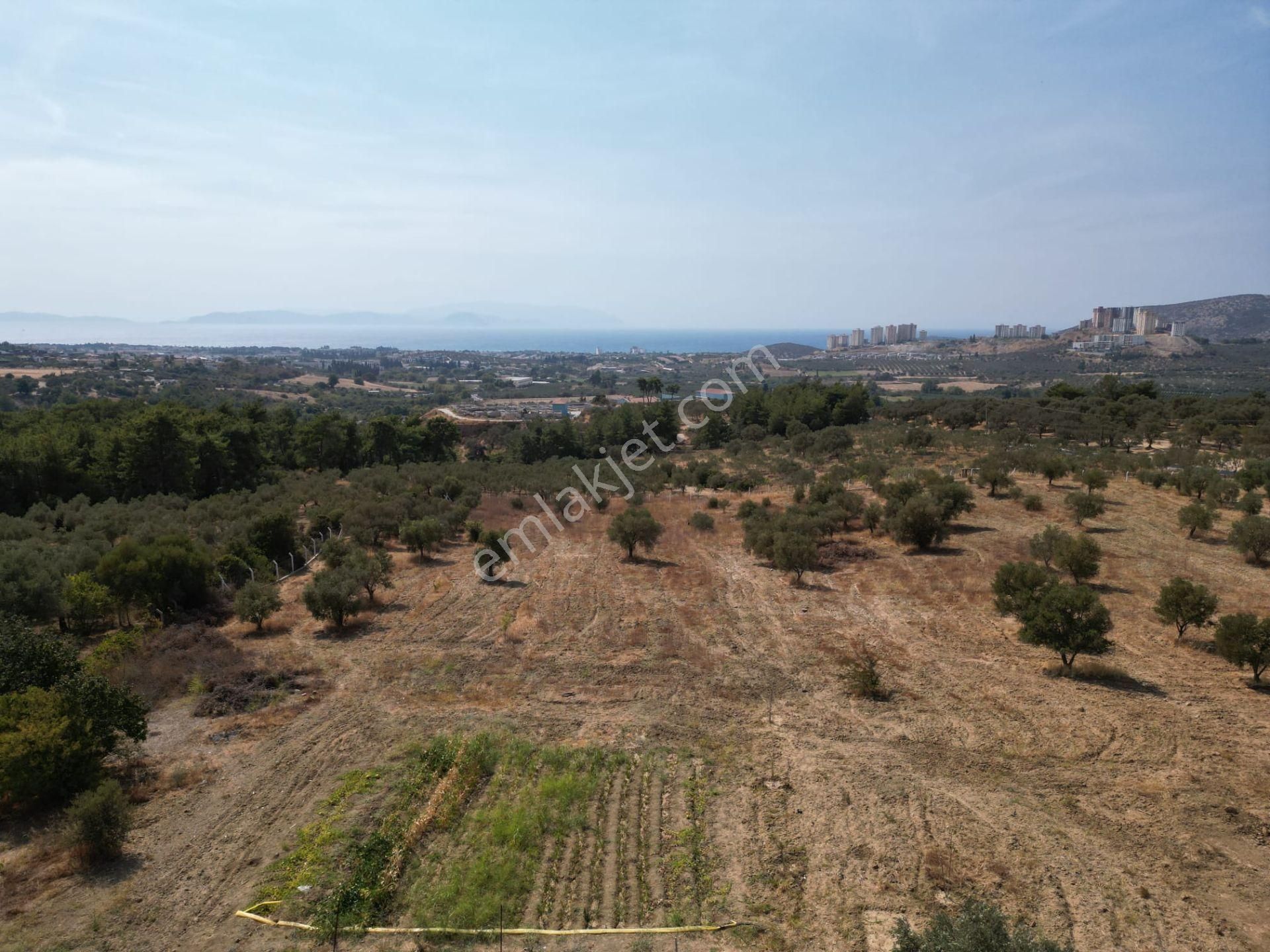 Avm'ye Yakın-imar Sınırında-manzaralı-merkeze Yakın-yatırımlık Kacırılmayacak 13500 M2 Arazi - Görsel 10