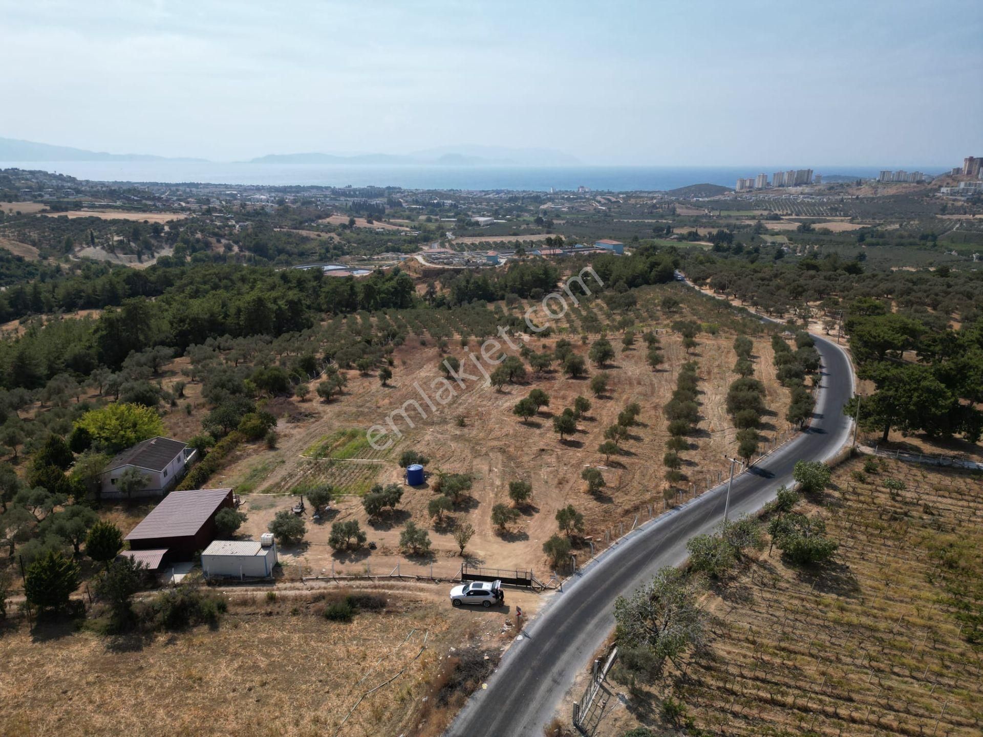 Avm'ye Yakın-imar Sınırında-manzaralı-merkeze Yakın-yatırımlık Kacırılmayacak 13500 M2 Arazi - Görsel 11
