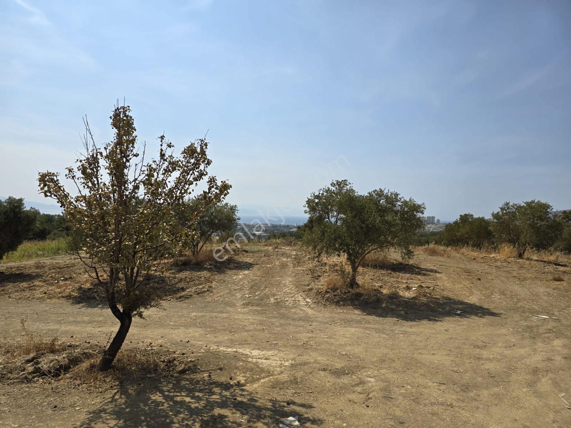 Avm'ye Yakın-imar Sınırında-manzaralı-merkeze Yakın-yatırımlık Kacırılmayacak 13500 M2 Arazi - Görsel 17