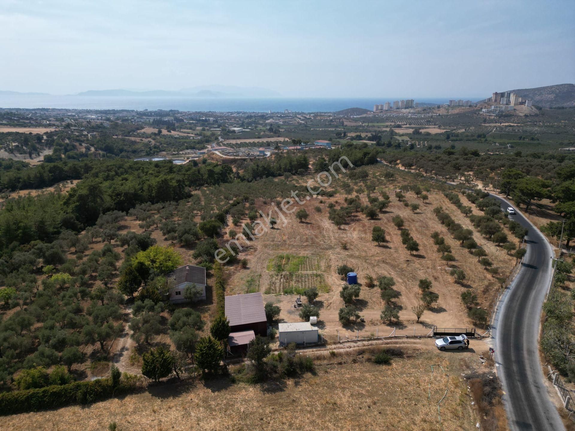 Avm'ye Yakın-imar Sınırında-manzaralı-merkeze Yakın-yatırımlık Kacırılmayacak 13500 M2 Arazi - Görsel 12