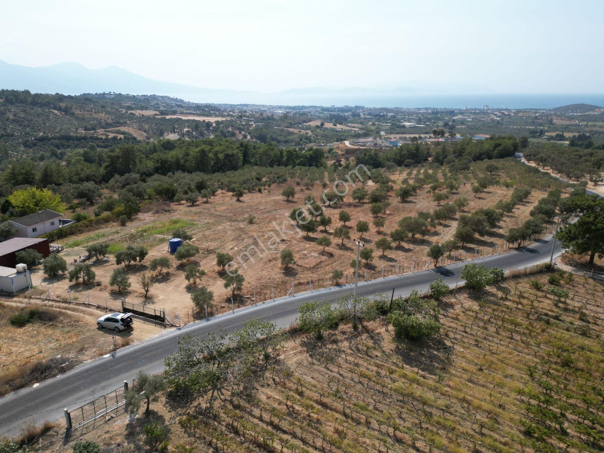Avm'ye Yakın-imar Sınırında-manzaralı-merkeze Yakın-yatırımlık Kacırılmayacak 13500 M2 Arazi - Görsel 7