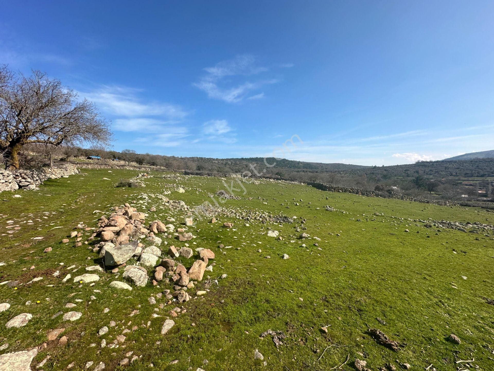 Bergama Öksüzler Satılık Konut İmarlı  BERGAMA ÖKSÜZLER SATILIK KONUT İMARLI 3 PARÇAYA BÖLÜNEBİLEN ARSA