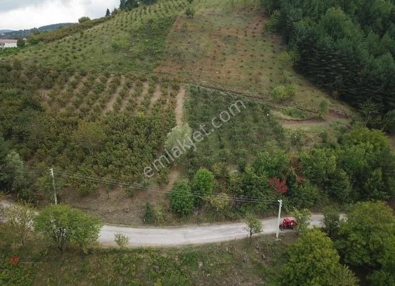 Hendek Dikmen Satılık Bağ & Bahçe Emlakgrup'tan Dikmen'de Satılık 1784m2 Arsa