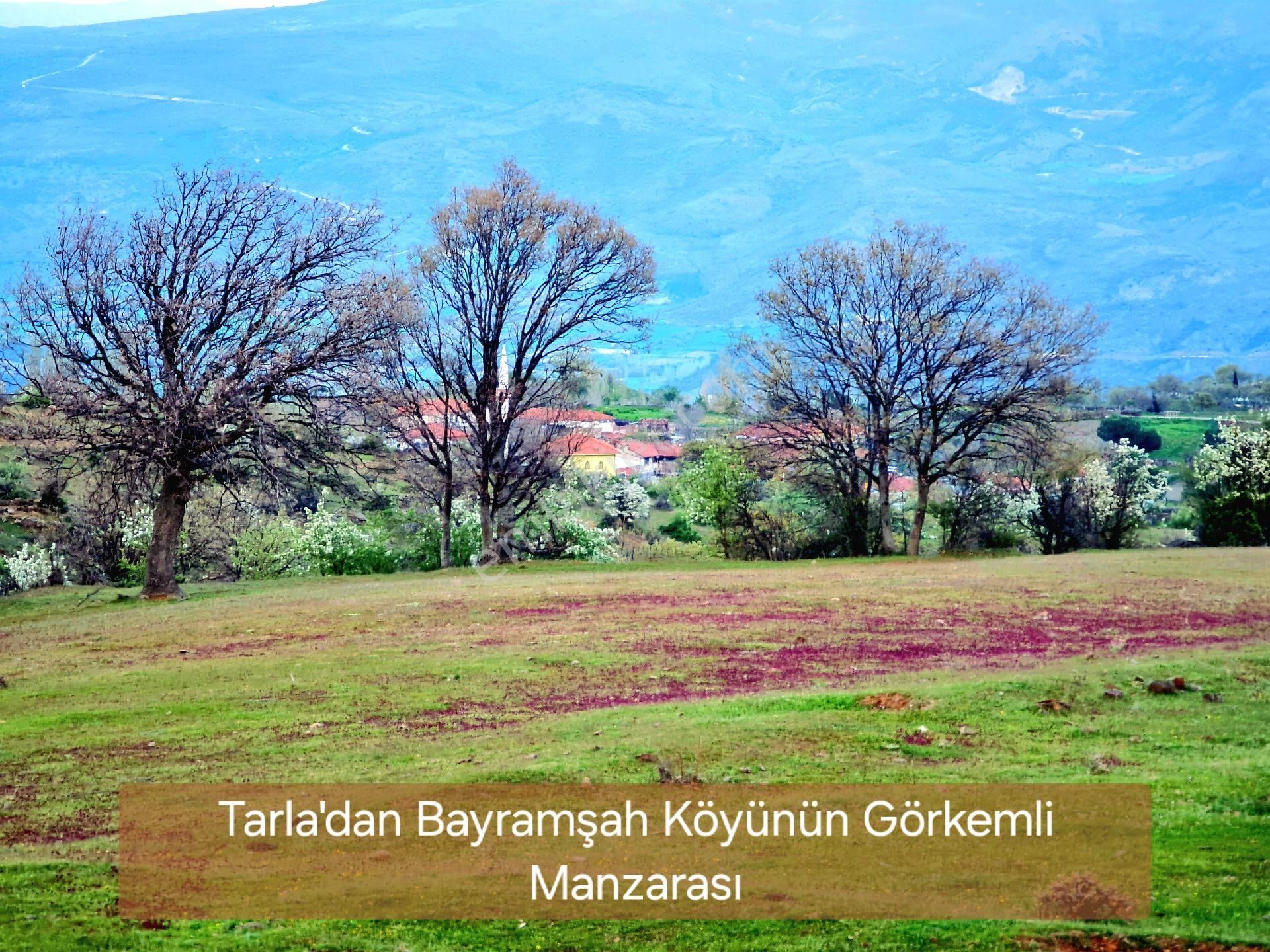 Demirci Bayramşah Satılık Tarla Manisa Demirci Bayramşah'da 3.085 m2 Uygun Tarla. Köye 500 Metre Yakın. Açıklamayı Okuyarak Arayınız