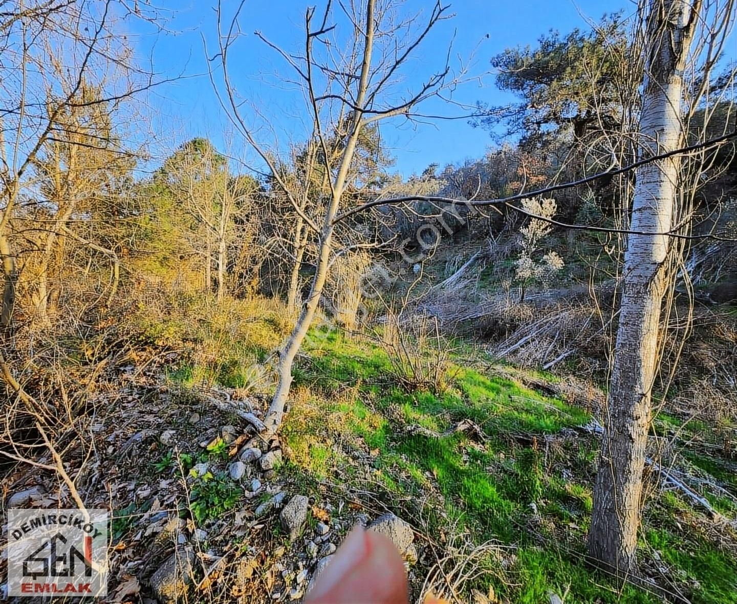 Asfalt Cepheli 3763 M2 Satılık Bahçe - Görsel 3