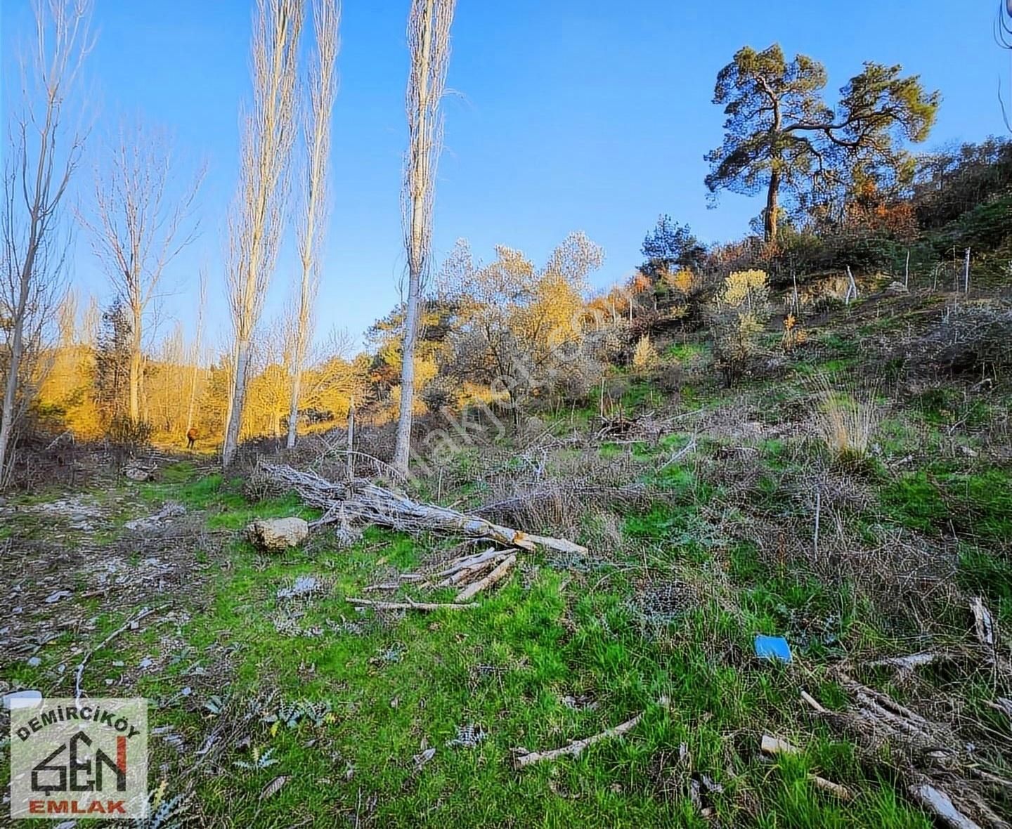 Asfalt Cepheli 3763 M2 Satılık Bahçe - Görsel 2