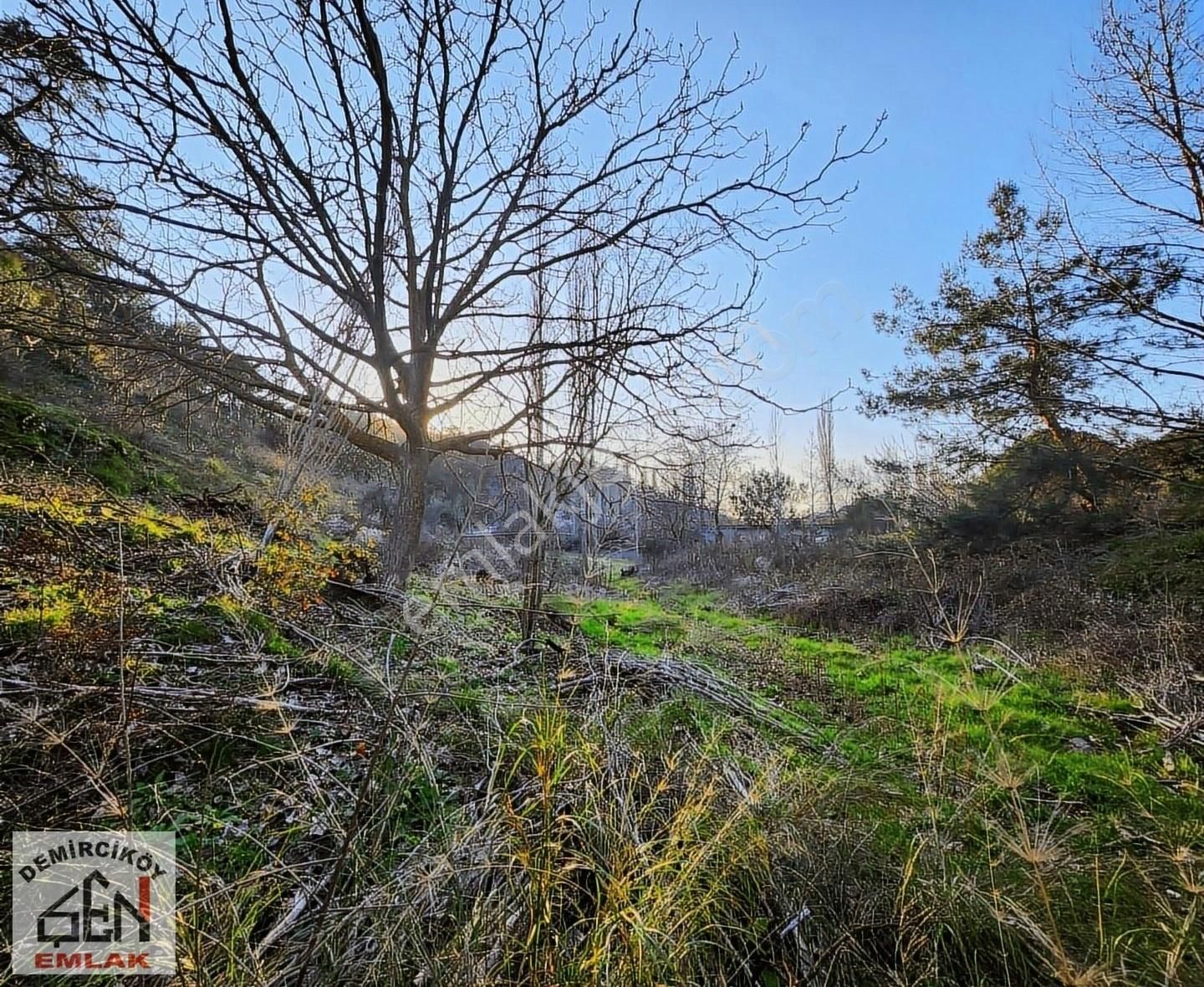 Asfalt Cepheli 3763 M2 Satılık Bahçe - Görsel 14