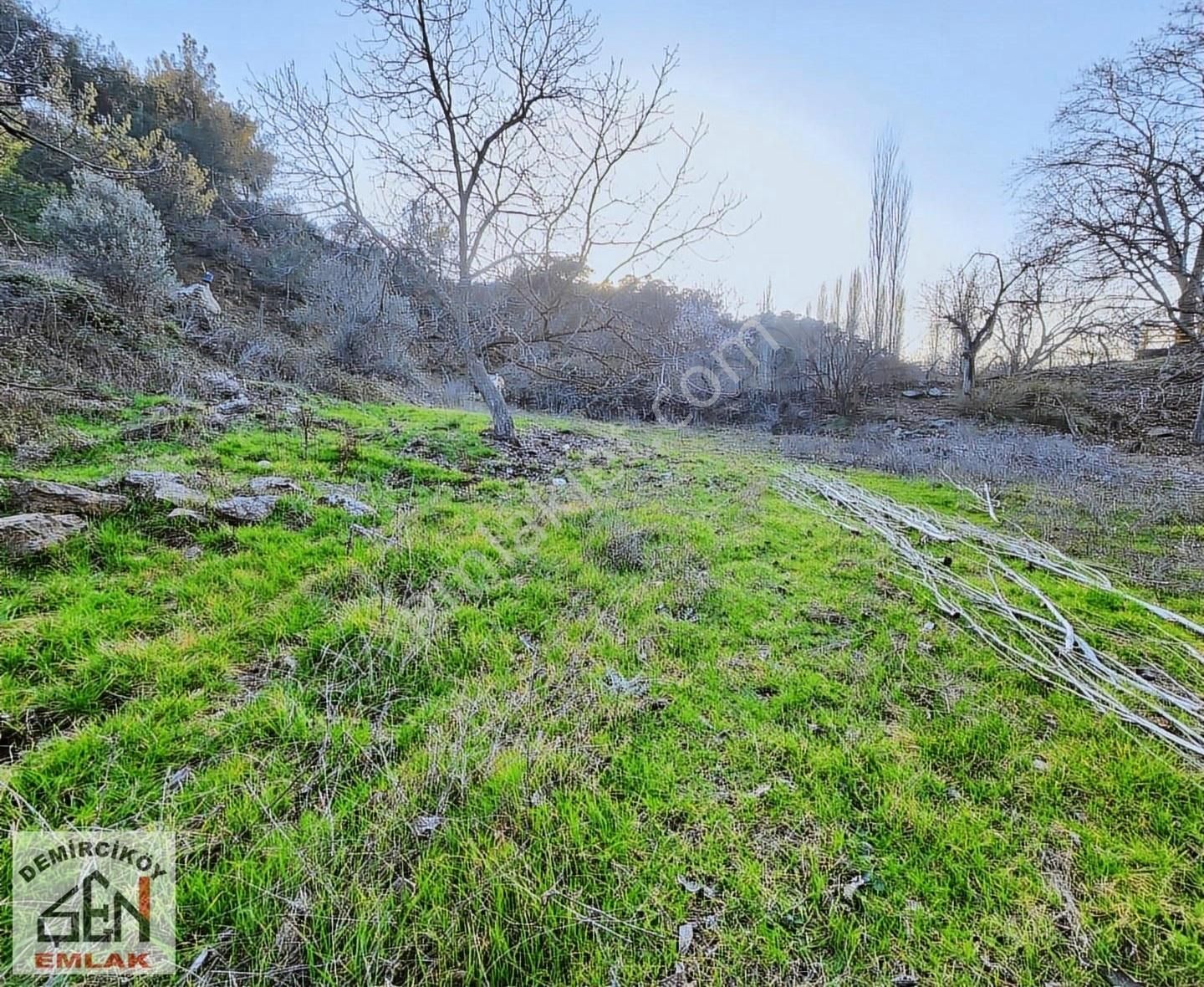 Asfalt Cepheli 3763 M2 Satılık Bahçe - Görsel 9