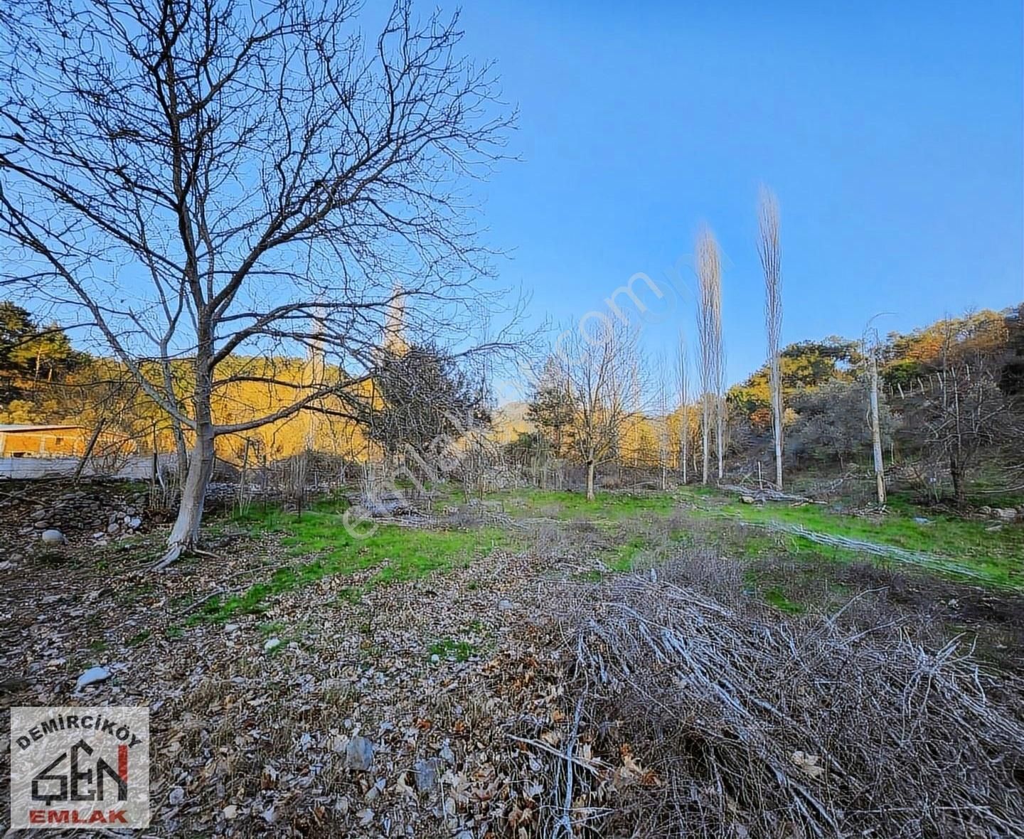 Asfalt Cepheli 3763 M2 Satılık Bahçe - Görsel 15