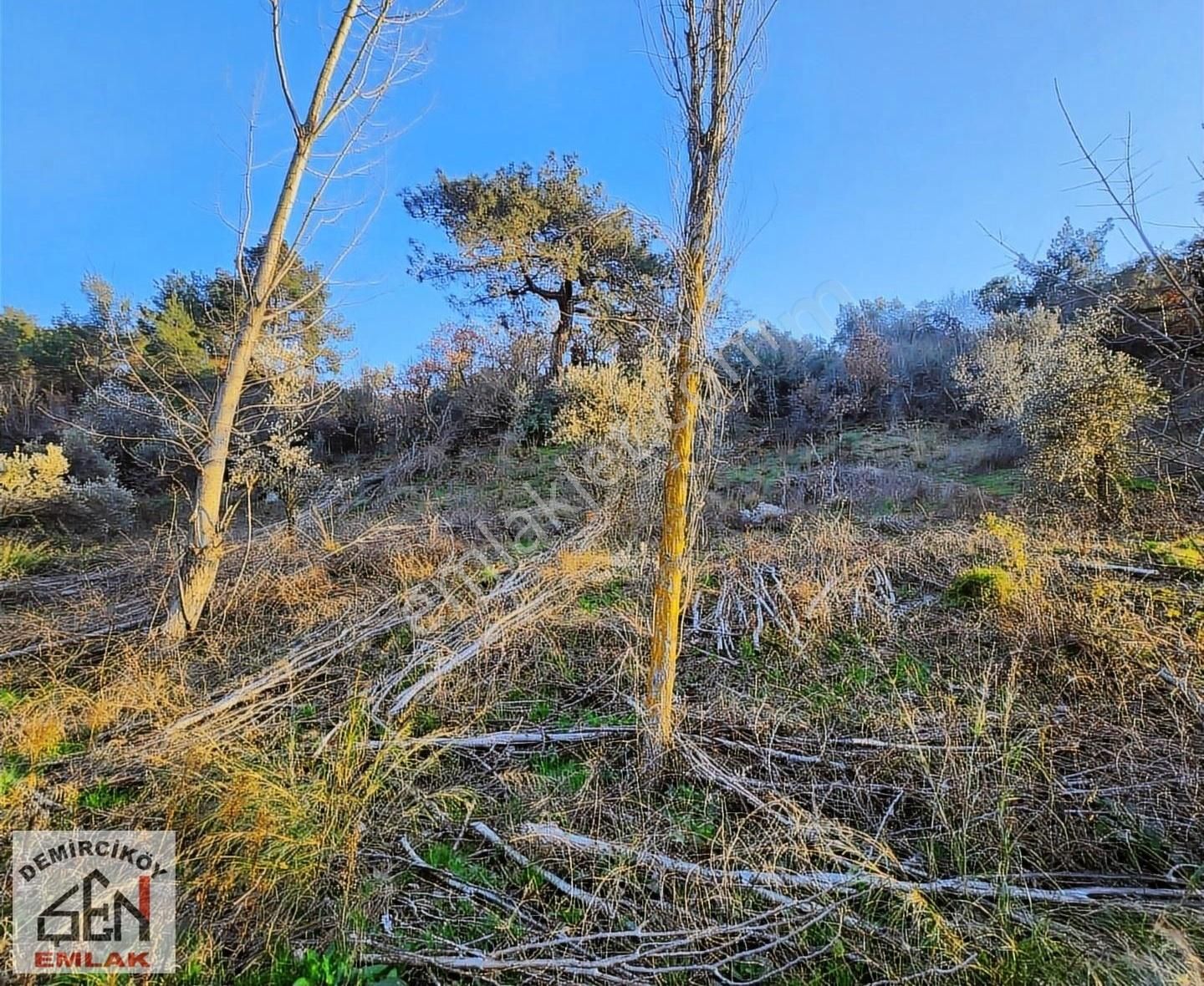 Asfalt Cepheli 3763 M2 Satılık Bahçe - Görsel 8