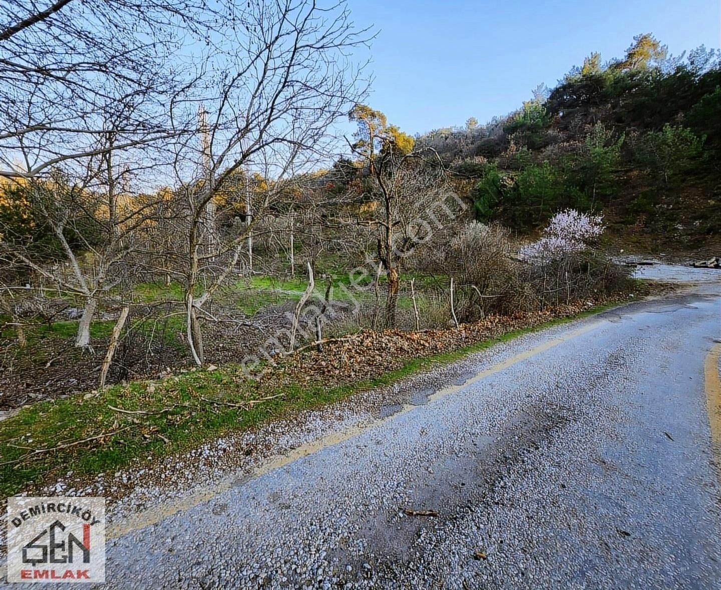 Asfalt Cepheli 3763 M2 Satılık Bahçe - Görsel 16