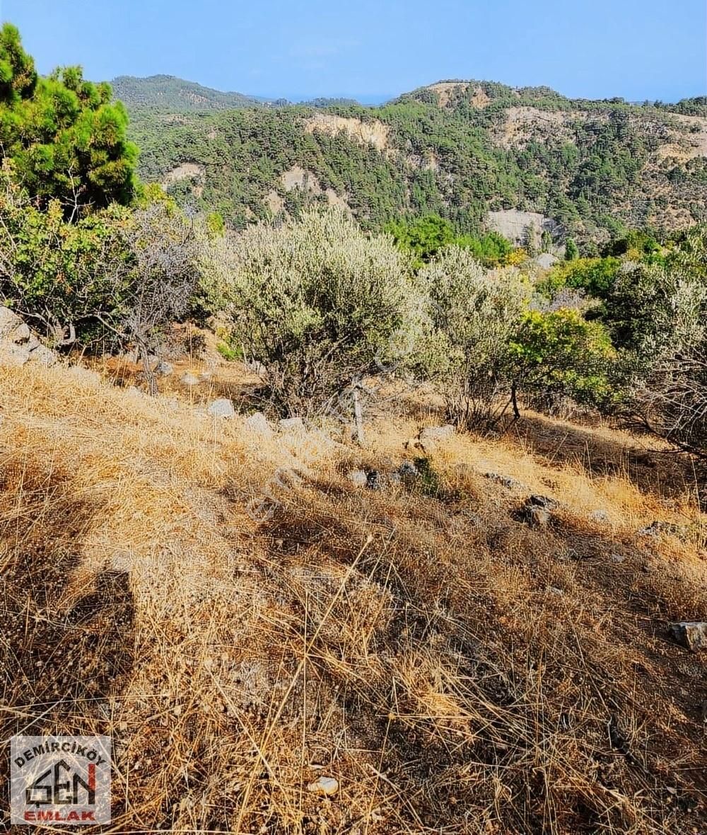 Şen Emlak' Tan Ahmetçe Köyünde Satılık Tarla - Görsel 2