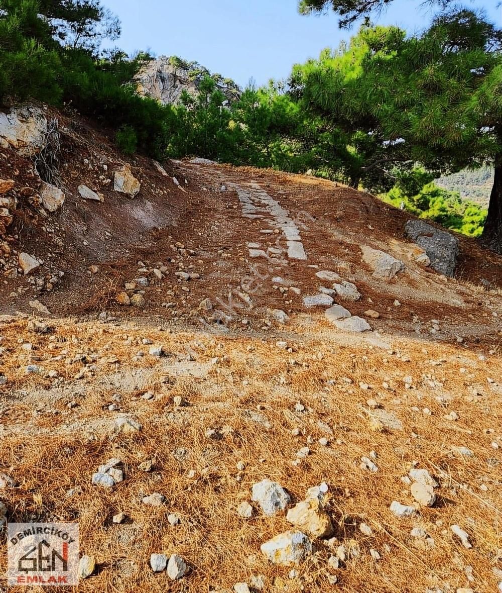 Şen Emlak' Tan Ahmetçe Köyünde Satılık Tarla - Görsel 3