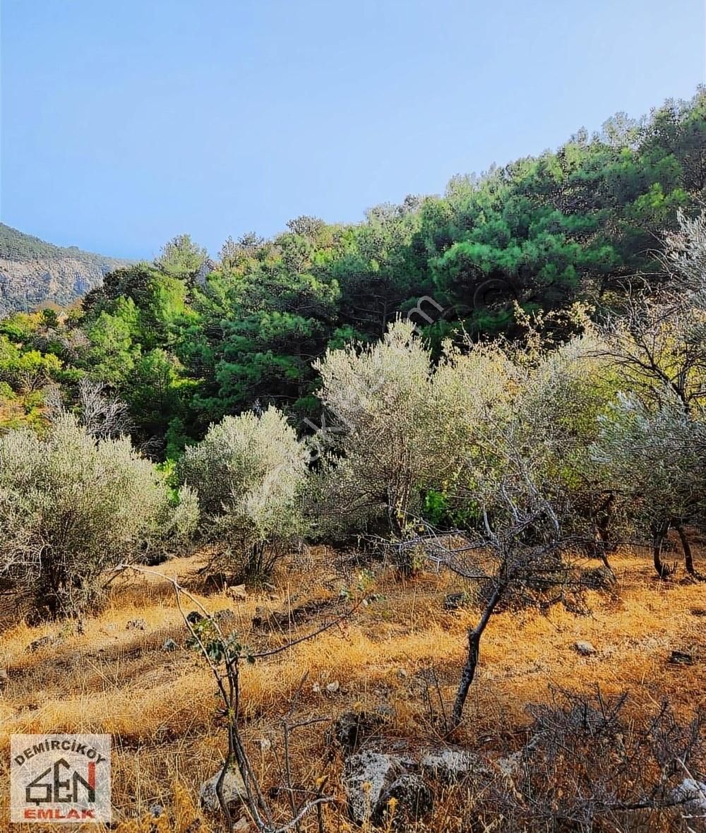 Şen Emlak' Tan Ahmetçe Köyünde Satılık Tarla - Görsel 7