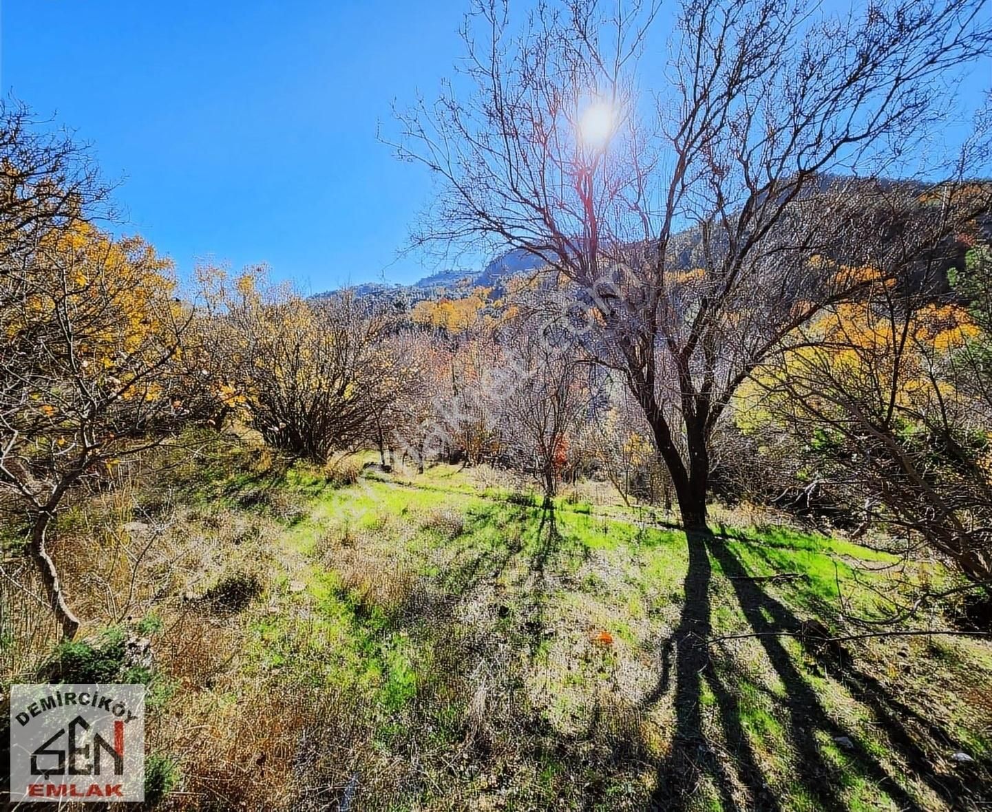 Ayvacık Ahmetçe Köyü (Yayla Evleri Akpınar Mevkii) Satılık Tarla AHMETÇE SARIKAYA MEVKİİNDE SATILIK MÜSTAKİL TAPULU TARLA