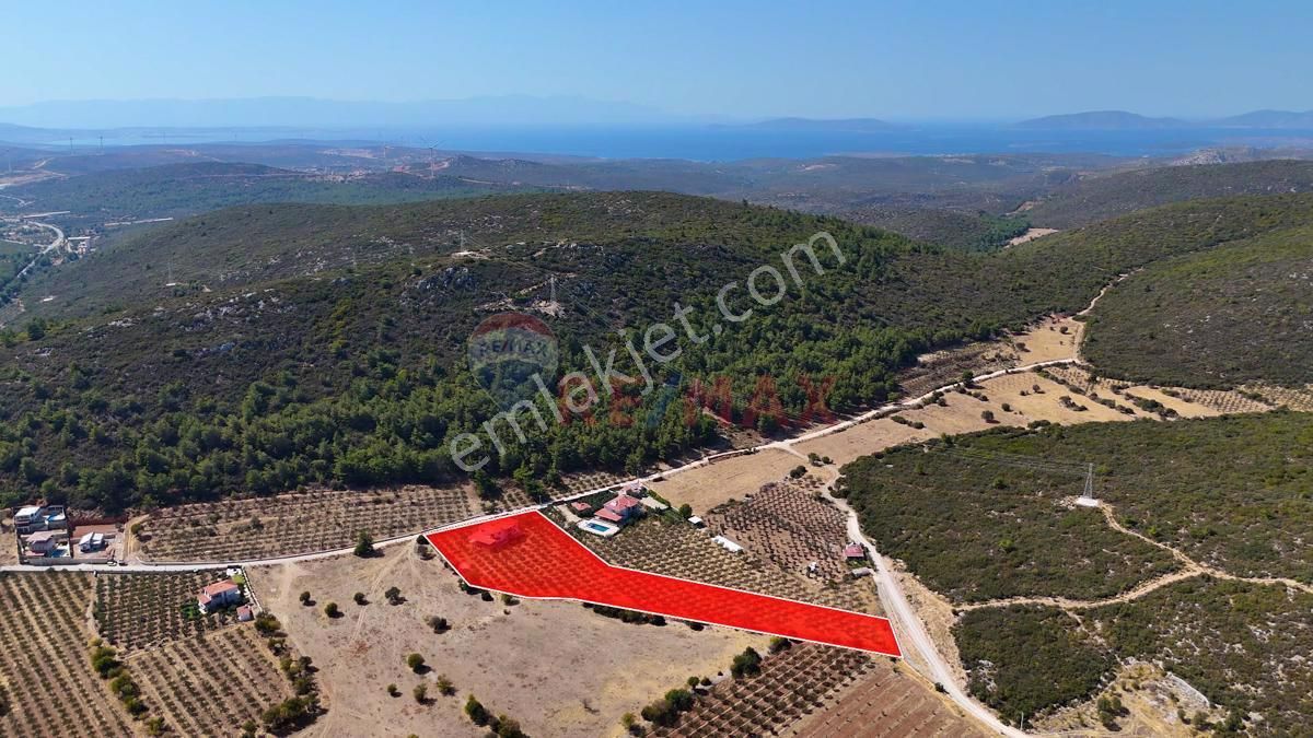 Urla Nohutalan Satılık Zeytinlik Urla Nohutalan'da 10.478 m2 Satılık Zeytinlik ve Villa