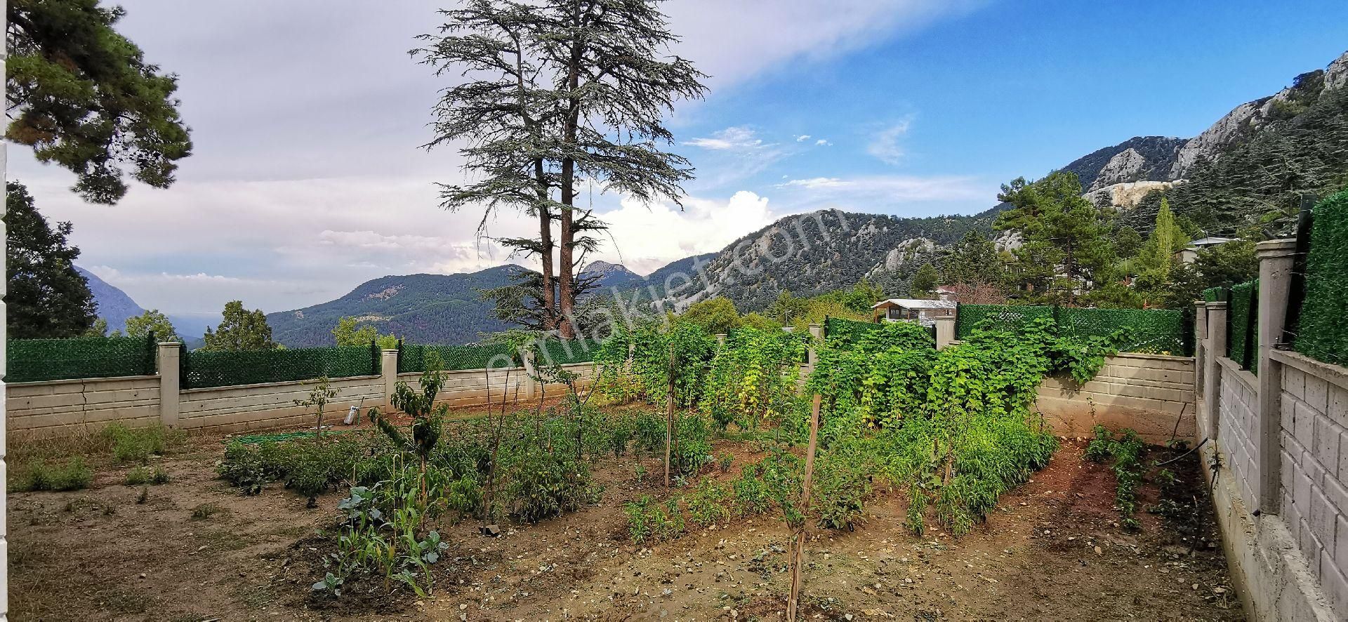 Üçoluk Ekizce Yaylasında 3+1 Eşyalı Müstakil Elektrik Ve Suyu Mevcut Eksiksiz Köy Evi Açıklamayı Oku - Görsel 24