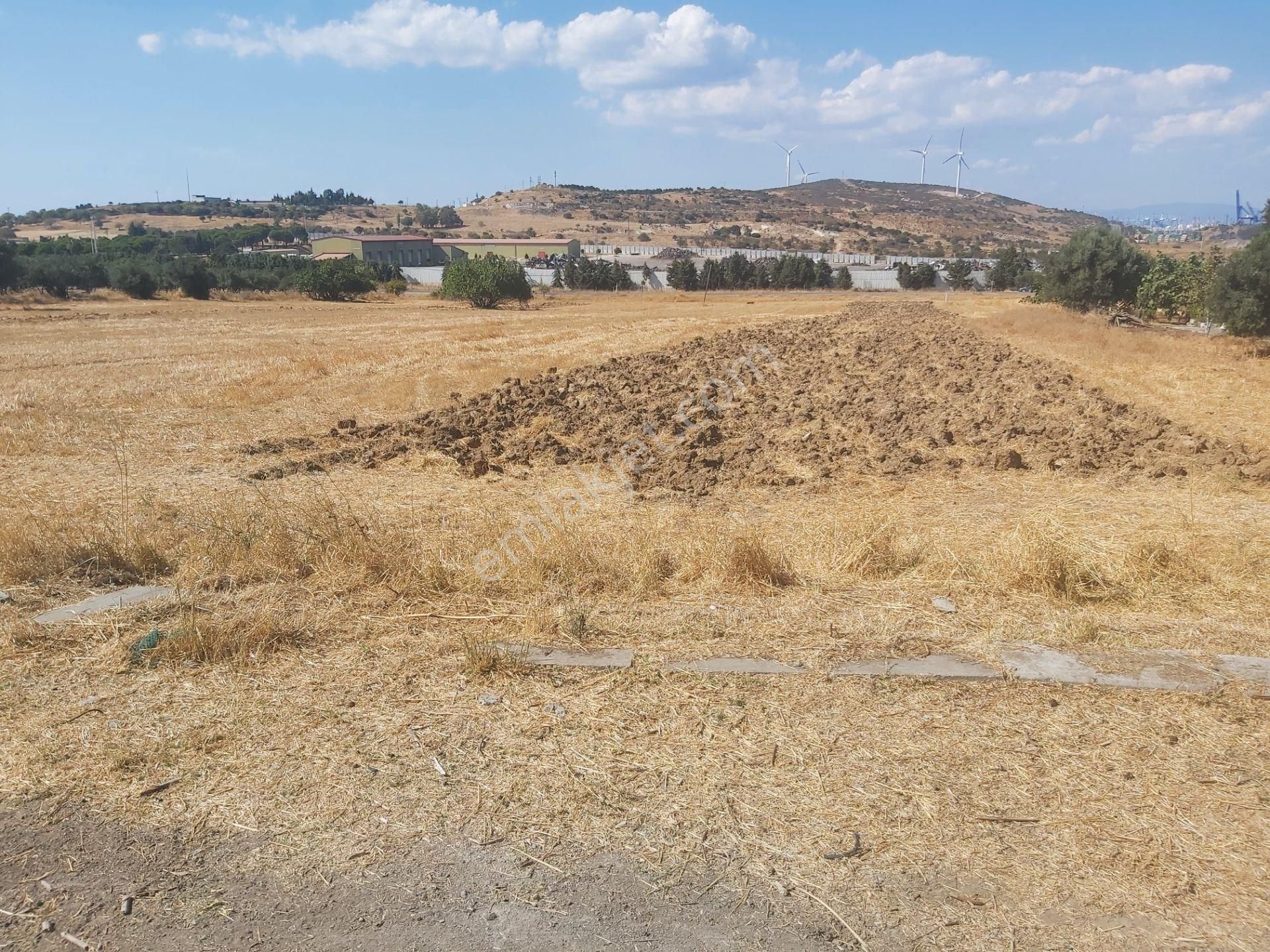 İzmir Aliağa Horozgediği Mah 14.446 M2 Satılık Fırsat Tarla