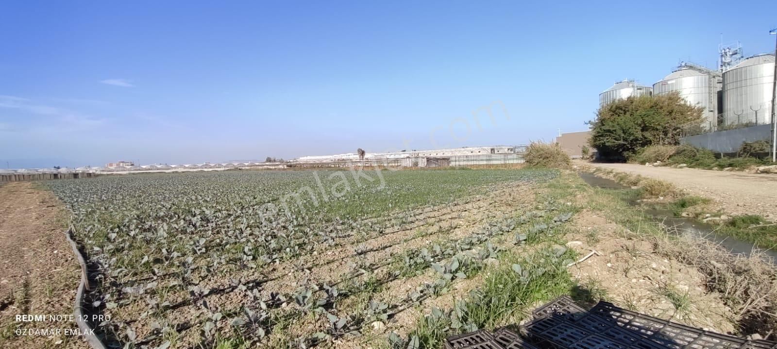 Mersin Akdeniz Satılık Ticari İmarlı  MERSİN AKDENİZ KAZANLIDA SATILIK 19 DÖNÜM DEPOLAMA ALANI 