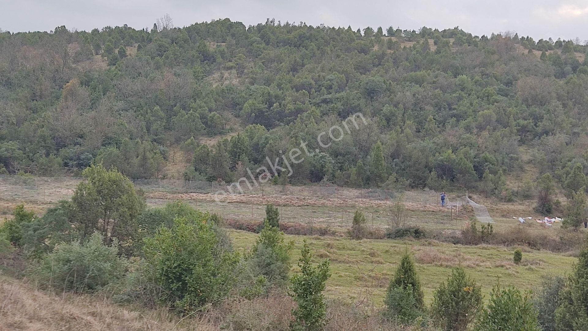 Fırsat Şile Ağva - Görsel 6