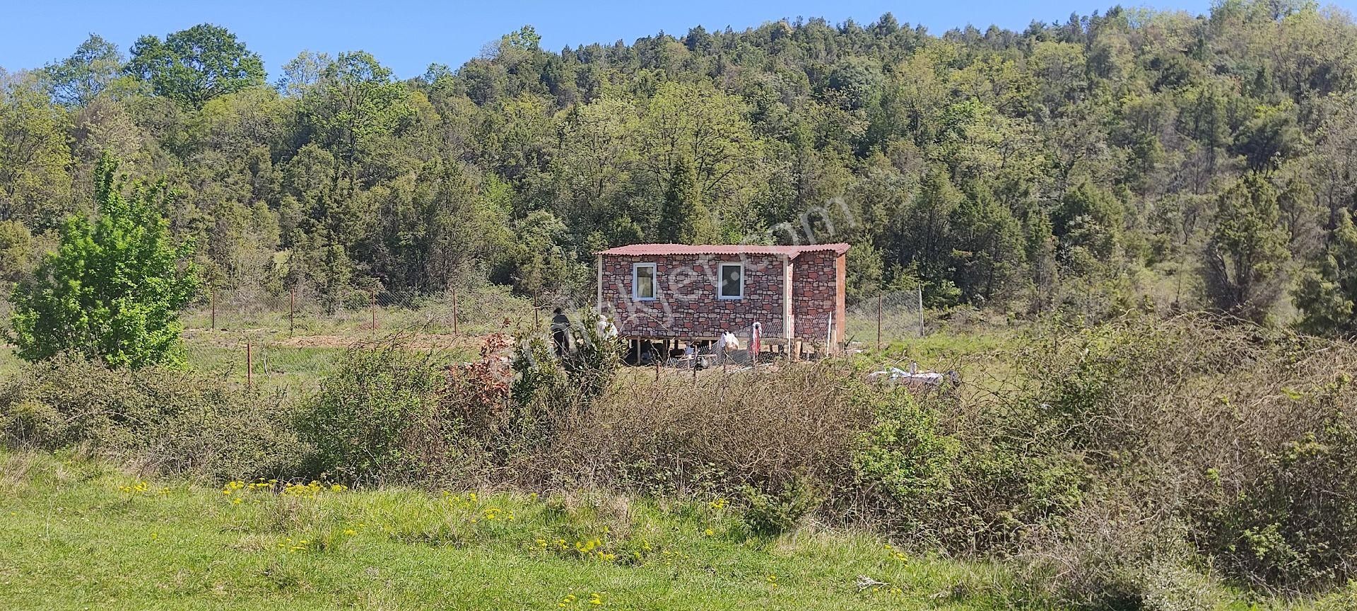 Fırsat Şile Ağva - Görsel 8