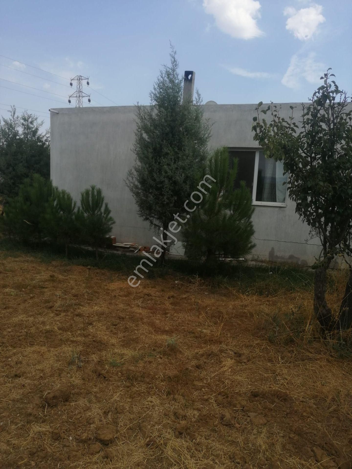 Menderes Turyap'tan Dereköy'de 3002 M² Tek Tapu Satılık Tarla - Görsel 21